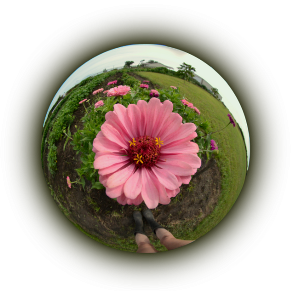 Strangerock Ceramics